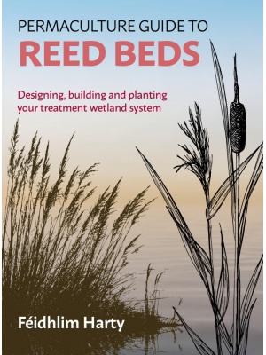 reed-beds-1