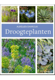 droogteplaten-c