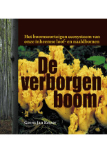 verborgen-boom