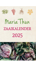 mariathun-2025