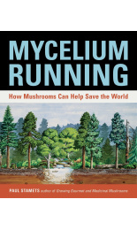 mycelium-running-c
