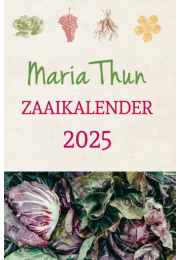 mariathun-2025