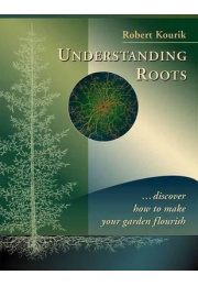 understanding-roots-c