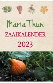 mariathun-2023-c