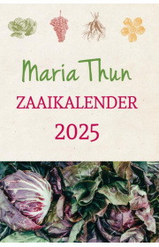 mariathun-2025