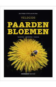 paardenbloemen-c