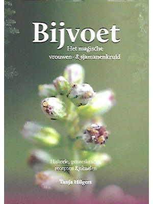 Bijvoet