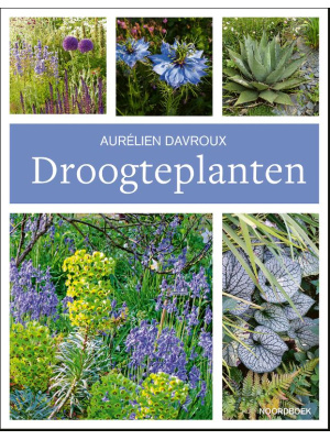 droogteplaten-c