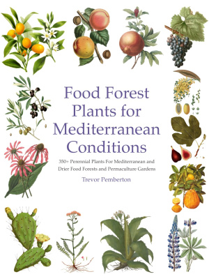 food-forest-plants-mediterranean-conditions-c