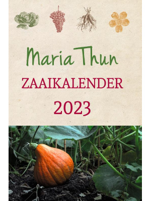 mariathun-2023-c