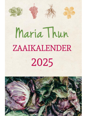 mariathun-2025