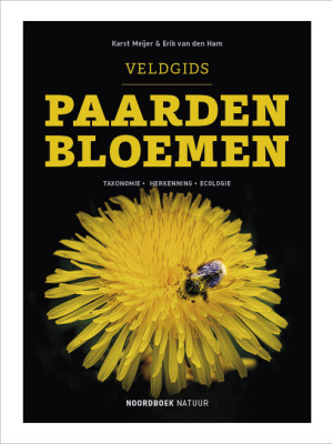 paardenbloemen-c