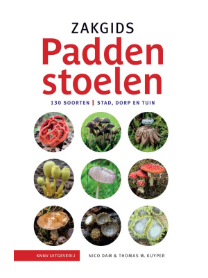 paddenstoelen-c