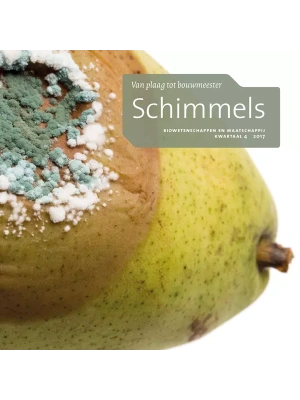 schimmels