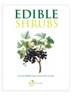 shrub_cover_ebook350