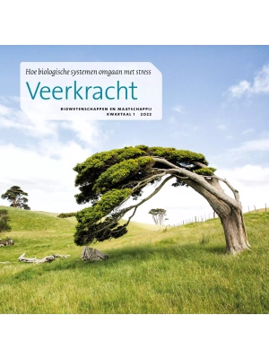 veerkracht-cover-scaled